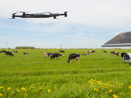 Drone Livestock Detection